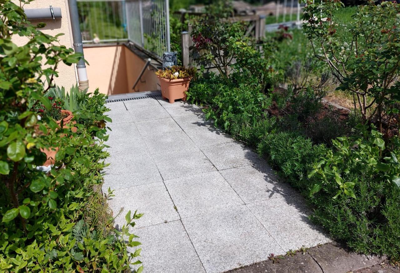 Ferienwohnung Freitag Vendersheim Екстер'єр фото